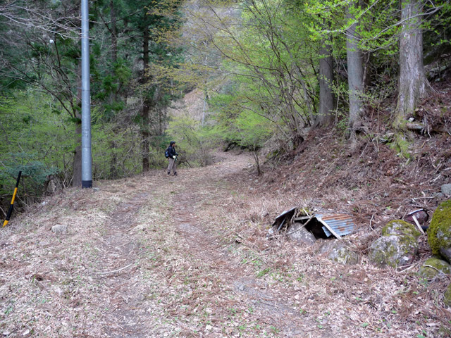 ���R�X�ѓS��,�ѓS,�p����,���R��,�ѓc�s,�؍މ^���O����