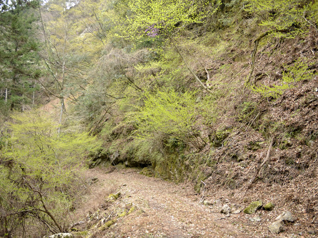 ���R�X�ѓS��,�ѓS,�p����,���R��,�ѓc�c�я�,�؍މ^���O����