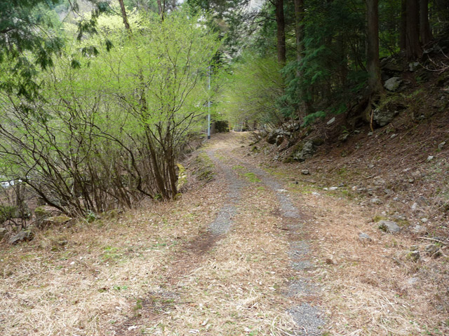 ���R�X�ѓS��,�ѓS,�p����,���R��,�ѓc�c�я�,�؍މ^���O����