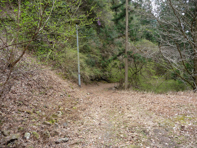 ���R�X�ѓS��,�ѓS,�p����,���R�ѓ�,�ѓc�c�я�,�؍މ^���O����