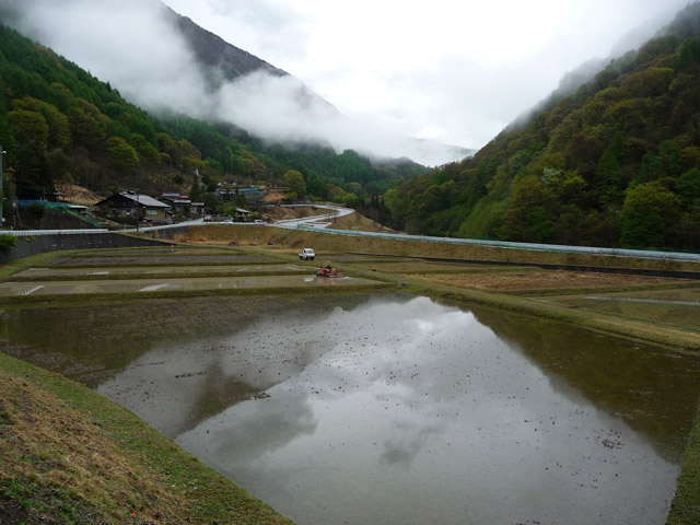 �Y�X�ѓS��,������ԏ�,�������؏�,�@�֌�