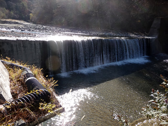 �Y�ѓS,������񉁒�,���h�_��,�O����