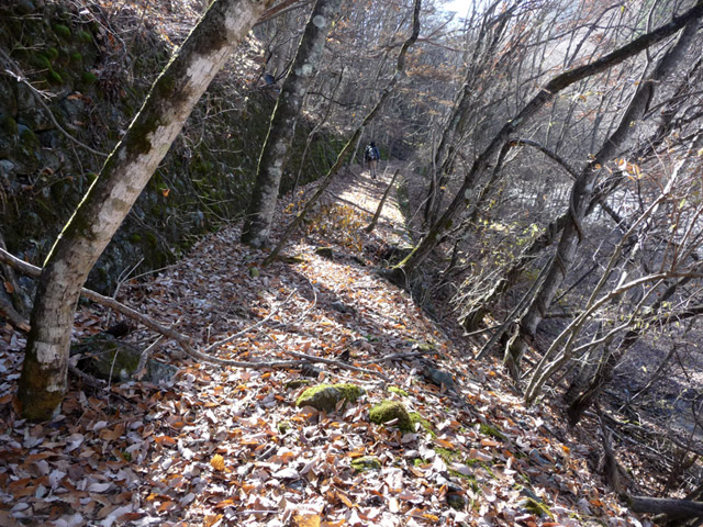 �Y�X�ѓS��,�ѓS,�p����,�O����