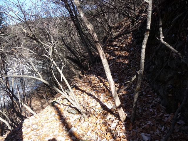 �Y�X�ѓS��,�ѓS,�p����,�O����