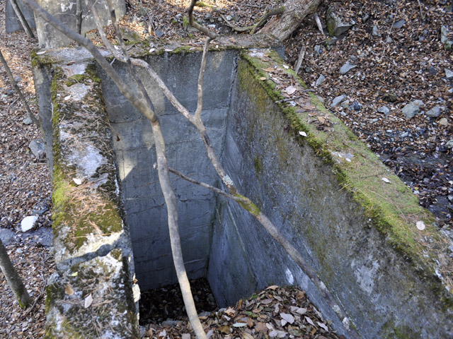 �Y�X�ѓS��,�ѓS,�p����,�O����,����