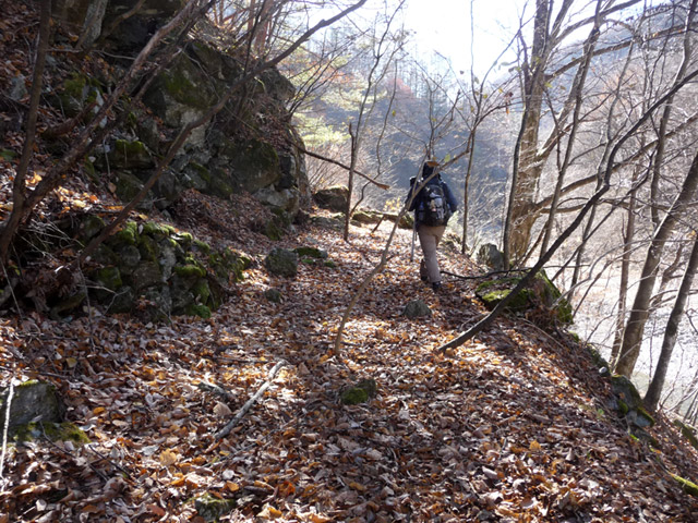 �Y�X�ѓS��,����,�p����,�O����,�ѓS