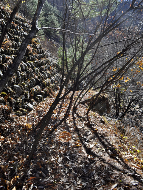 �Y�X�ѓS��,�p����,�ѓS,�O����