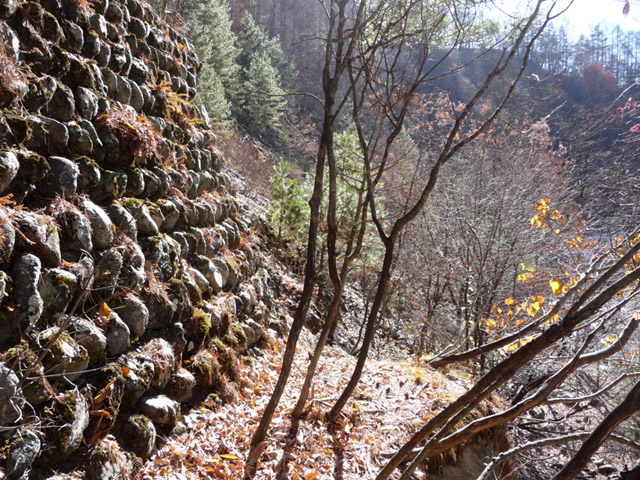 �Y�X�ѓS��,�p����,�ѓS,�O����