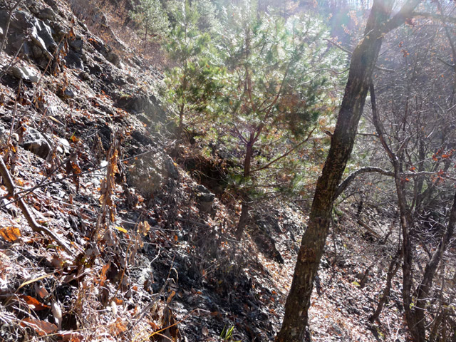 �Y�Y�X�ѓS��,�p����,�ѓS,�O����