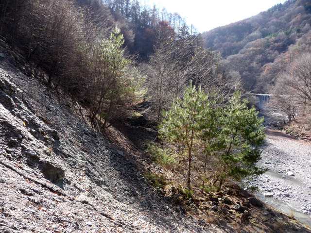 �Y�X�ѓS��,�p����,�ѓS,�O����