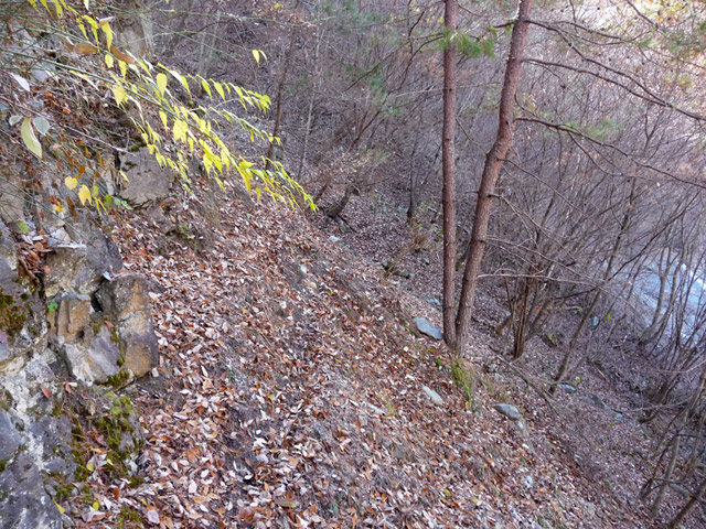 �Y�X�ѓS��,�p����,�ѓS,�O����