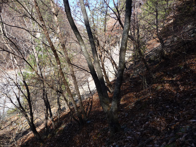 �Y�X�ѓS��,�p����,�ѓS,�O����