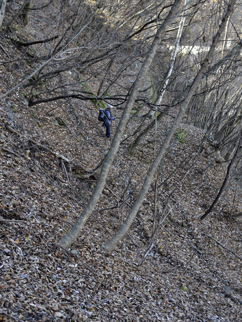 �Y�X�ѓS��,�p����,�ѓS,�O����