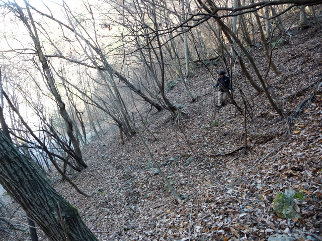 �Y�X�ѓS��,�p����,�ѓS,�O����