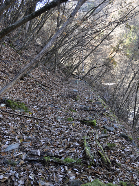 �Y�X�ѓS��,�p����,�ѓS,�O����