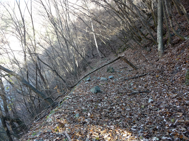 �Y�X�ѓS��,�p����,�ѓS,����,�S��