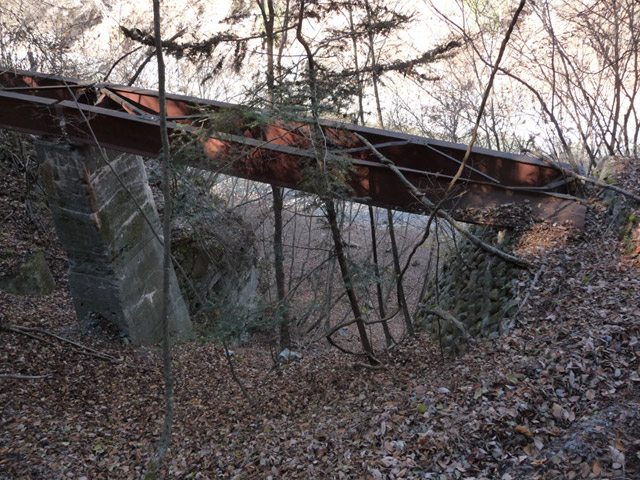 �Y�X�ѓS��,�p����,�ѓS,����,�S��