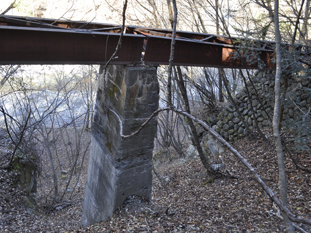 �Y�X�ѓS��,�p����,�ѓS,����,�S��