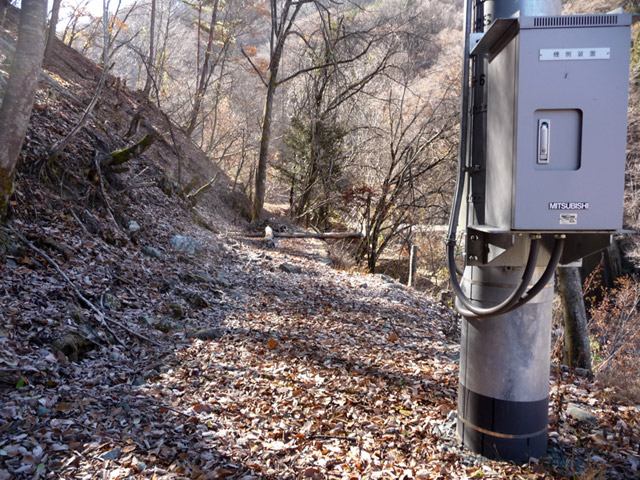 �Y�X�ѓS��,�p����,�ѓS,����,�S��