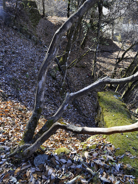 �Y�X�ѓS��,�p����,�ѓS,�O����,��������