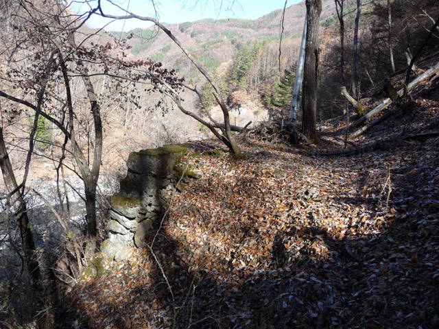 �Y�X�ѓS��,�p����,�ѓS,�O����,��������