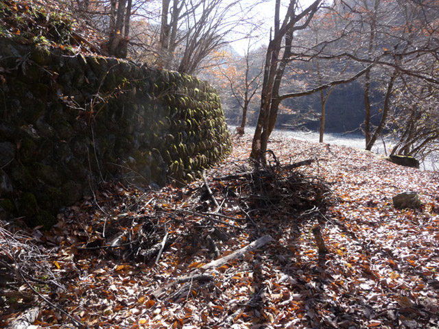 �Y�X�ѓS��,�p����,�ѓS,����,�S��