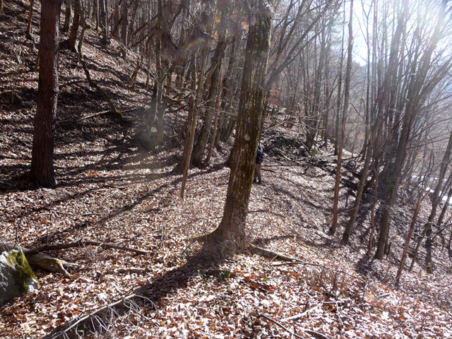 �Y�X�ѓS��,�p����,�O����,�ѓS