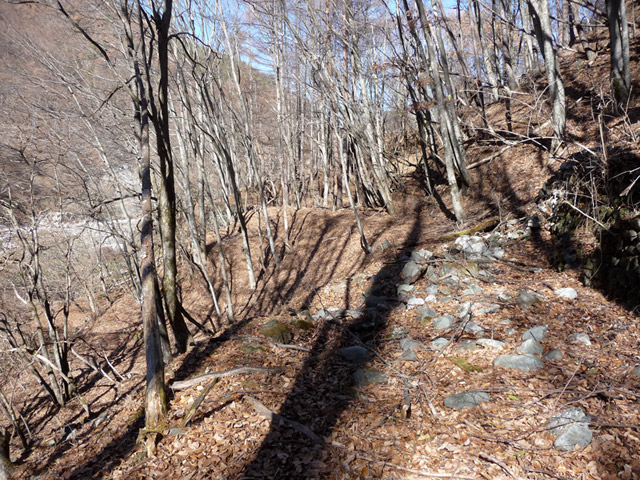 �X�ѓS��,�p����,�y�[�V,�ѓS,�ɓ߉c�я�