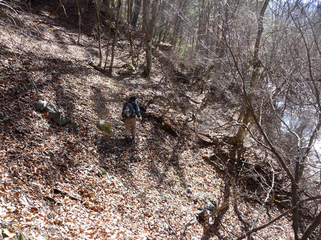 �Y�X�ѓS��,�p����,�O����,�ѓS,�O����