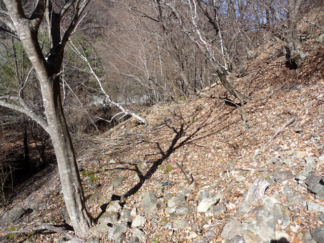 �Y�X�ѓS��,�p����,�ѓS,�O����