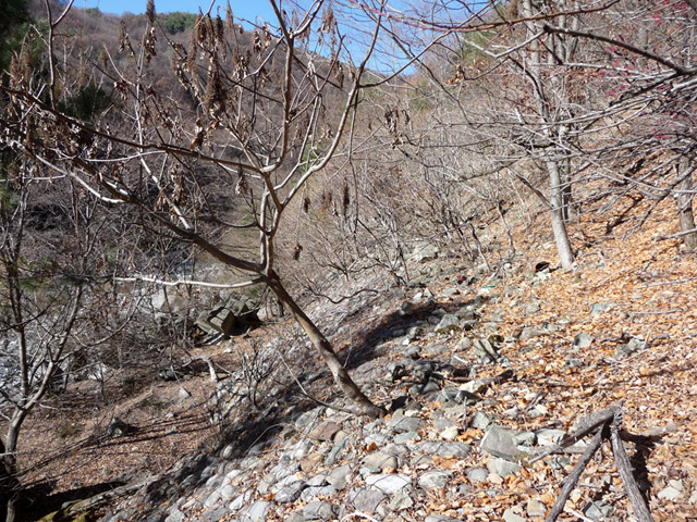 �Y�X�ѓS��,�p����,�ѓS,�O����