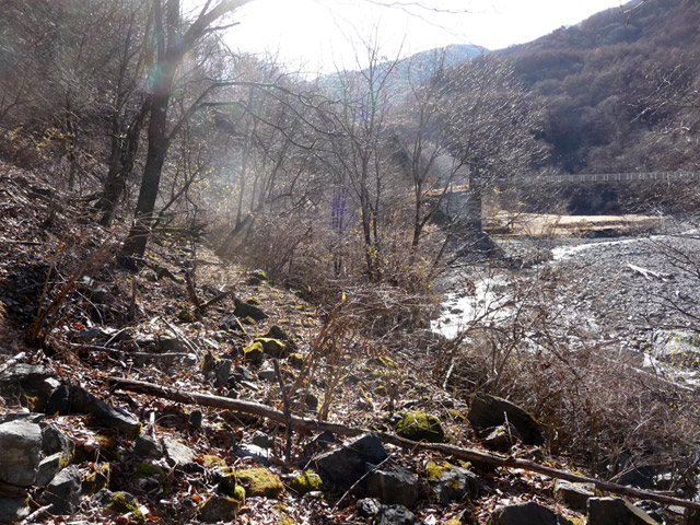 �Y�X�ѓS��,�p����,�ѓS,����