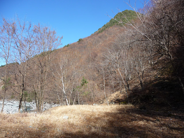 �Y�X�ѓS��,�p����,�ѓS,�ˑ���,����