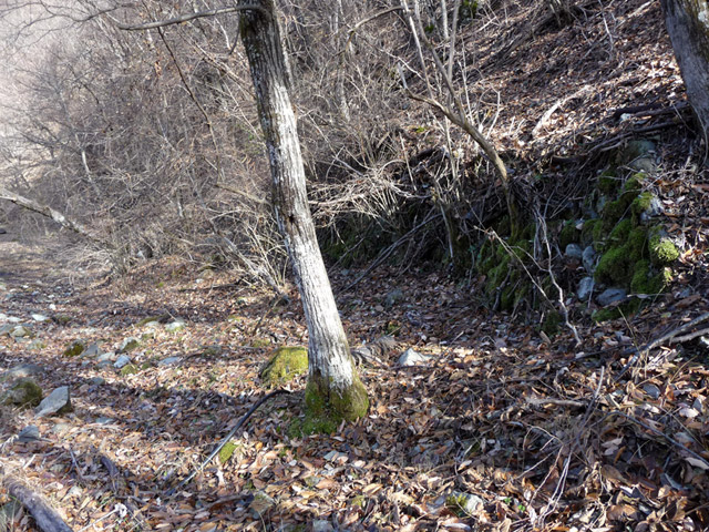 �Y�X�ѓS��,�p����,�ѓS,�ˑ�,����,�Ί_