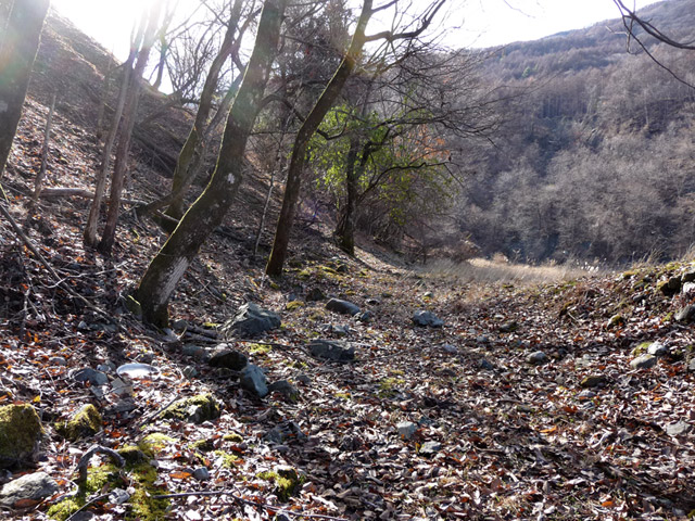 �Y�X�ѓS��,�p����,�ѓS,�ˑ���ԏ�