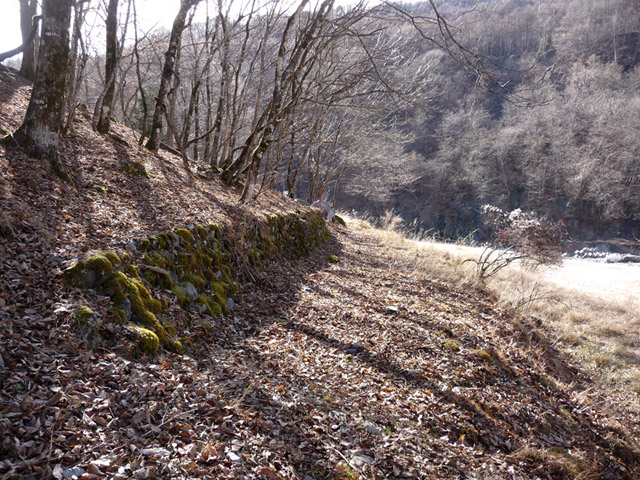 �Y�X�ѓS��,�p����,�ѓS,�ˑ���ԏ�