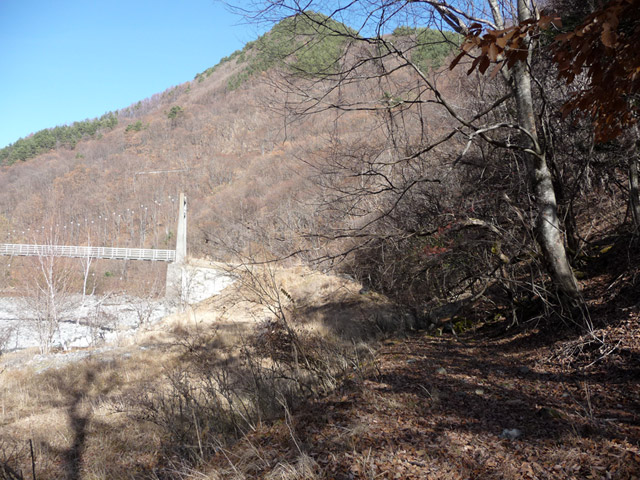 �Y�X�ѓS��,�p����,�ѓS,�ˑ���ԏ�