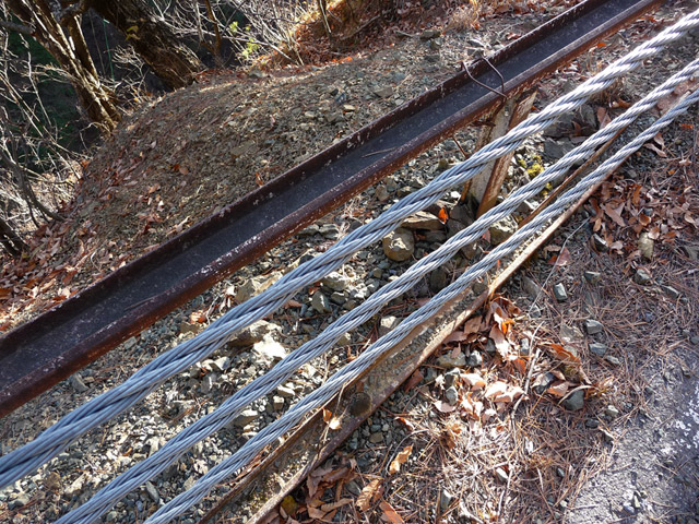 �Y�X�ѓS��,�p����,�ѓS,�O���앹�p�ѓ�,�K�[�h���[��