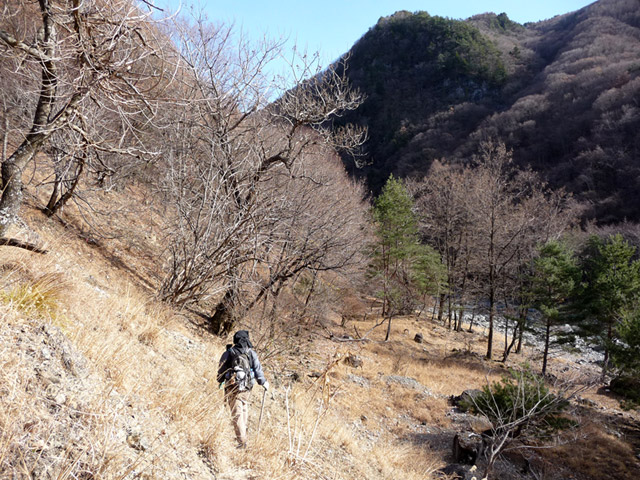 �Y�X�ѓS��,�p����,�O����,�ѓS,�ɓ߉c�я�