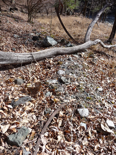 �Y�X�ѓS��,�p����,�O����,�ѓS,���[��