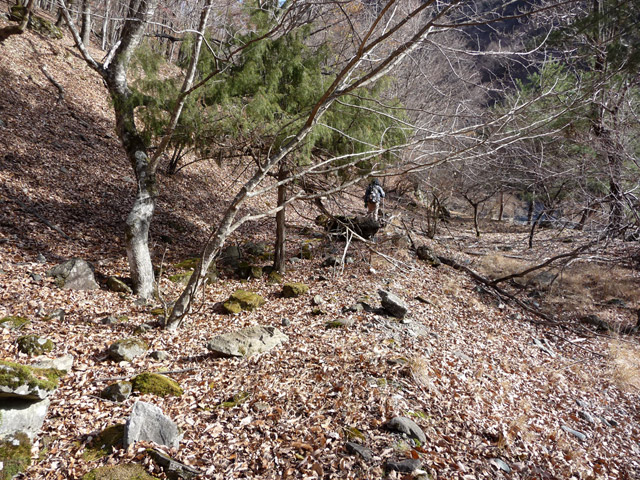 �Y�X�ѓS��,�p����,�O����,�ѓS,�O����