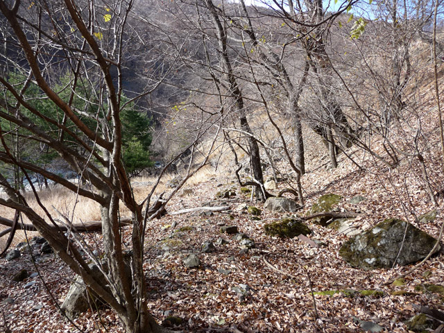 �Y�X�ѓS��,�p����,�O����,�ѓS,�O����