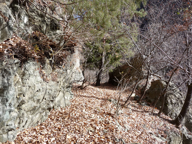 �Y�X�ѓS��,�p����,�ѓS,�O����,�ؒ�