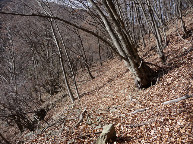 �Y�X�ѓS��,�p����,�ѓS,�O����