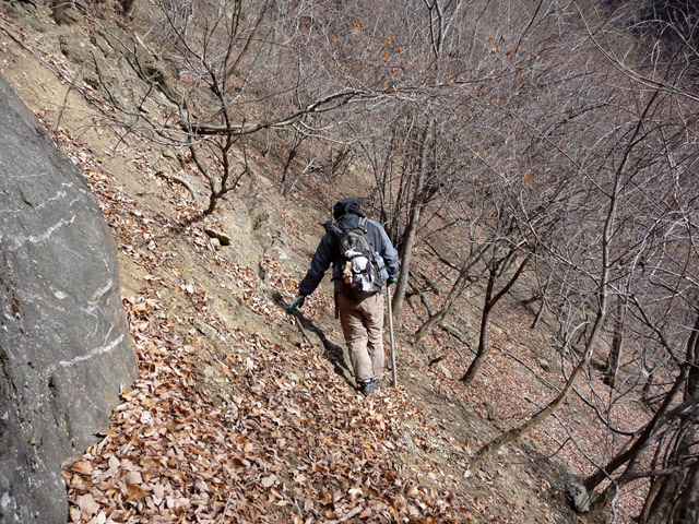 �Y�X�ѓS��,�p����,�ѓS,��������,�O����