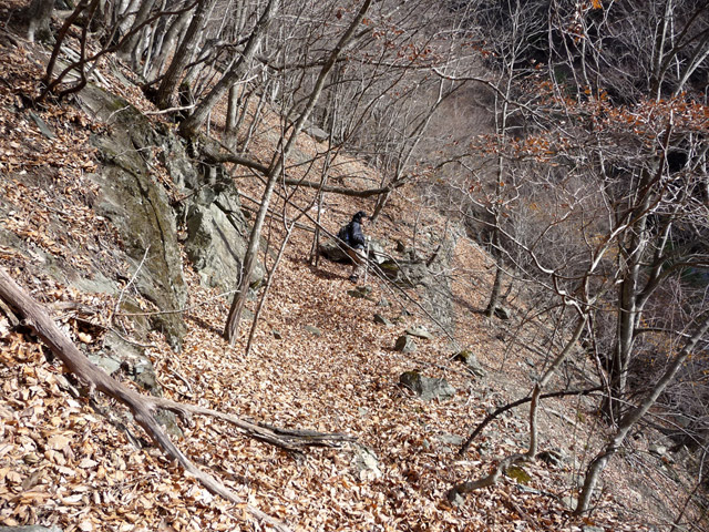 �Y�X�ѓS��,�p����,�ѓS,�O����