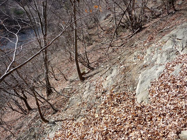 �Y�X�ѓS��,�p����,�ѓS,�O����,��������