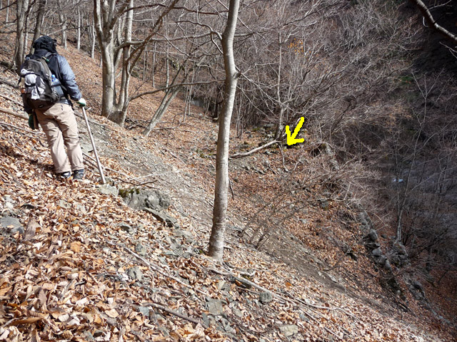 �Y�X�ѓS��,�p����,�ѓS,�O����