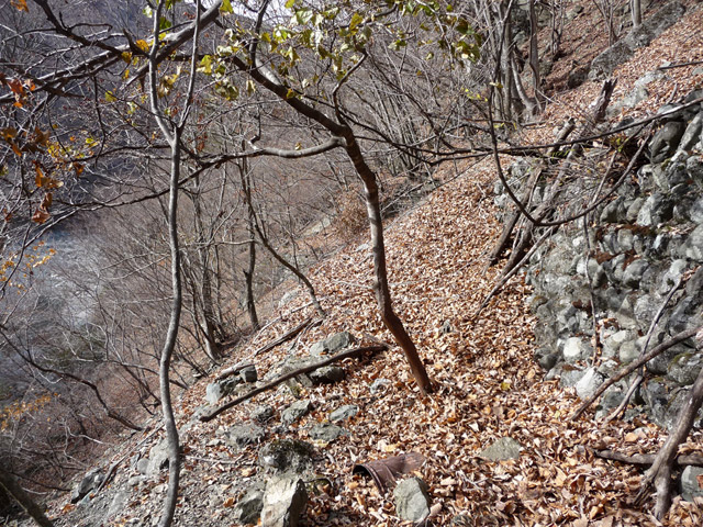 �Y�X�ѓS��,�p����,�ѓS,�O����