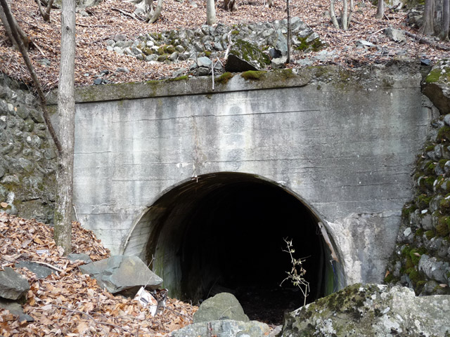 �Y�X�ѓS��,�p����,�ѓS,詓�,�p�g���l��